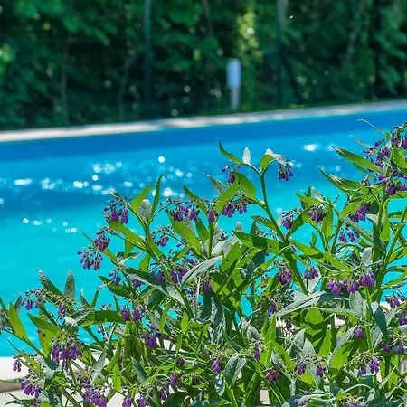 Hébergement de vacances Tre Colonne Modrušani